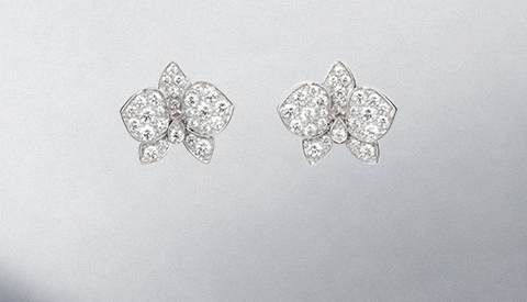 cartier diamond halo earrings