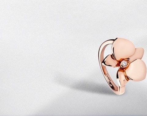 Luxury rings for women: eternity rings 