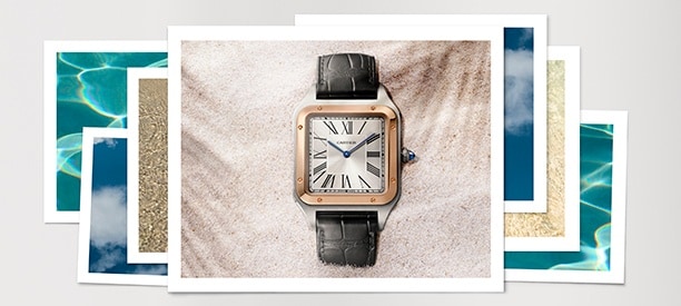 為他獻上的禮物