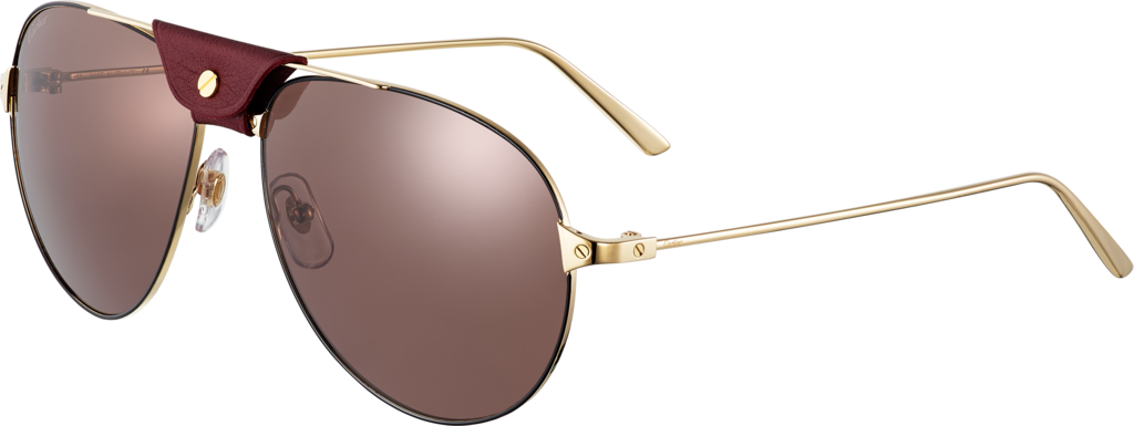 Santos de Cartier sunglasses 