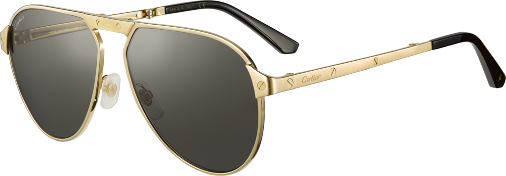 Santos de Cartier sunglassesSmooth and brushed platinum-finish metal, green polarised lenses