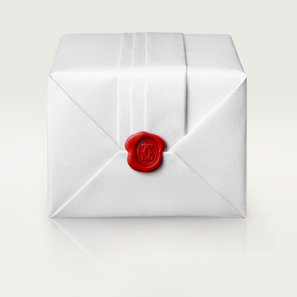 Tank Must 腕錶 大型款，石英機芯，精鋼，皮革