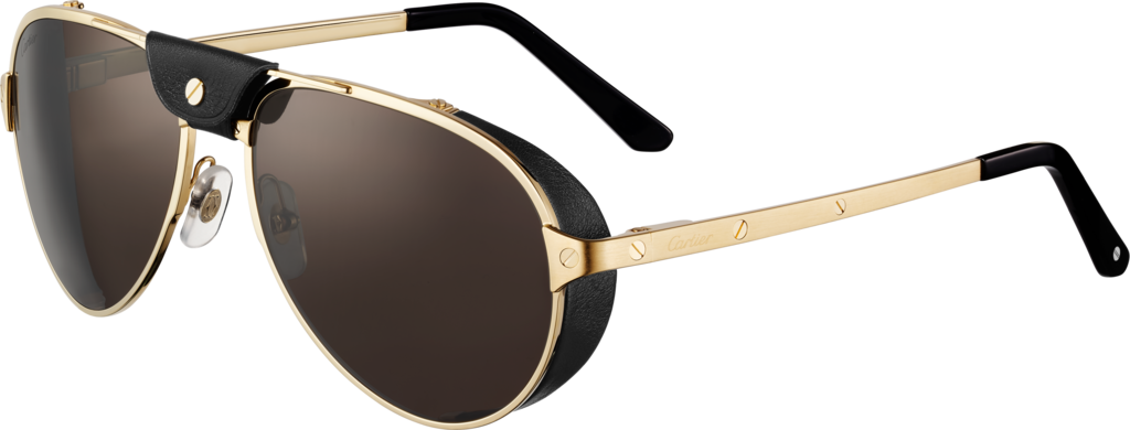 Santos de Cartier sunglassesSmooth and brushed golden-finish metal, grey polarised lenses