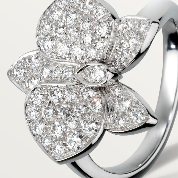 Caresse d’Orchidées par Cartier 戒指 18K白色黃金，鑽石