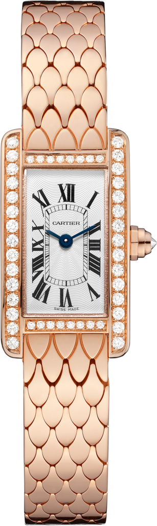 Cartier Cartier Cariard de Cariard de W7100041 Black Dial Used Watch men's watches