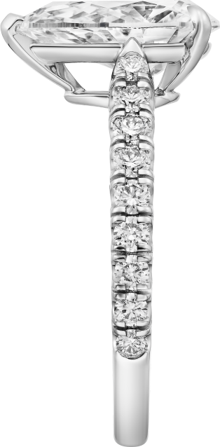 Solitaire 1895 單鑽戒指 鉑金，鑽石