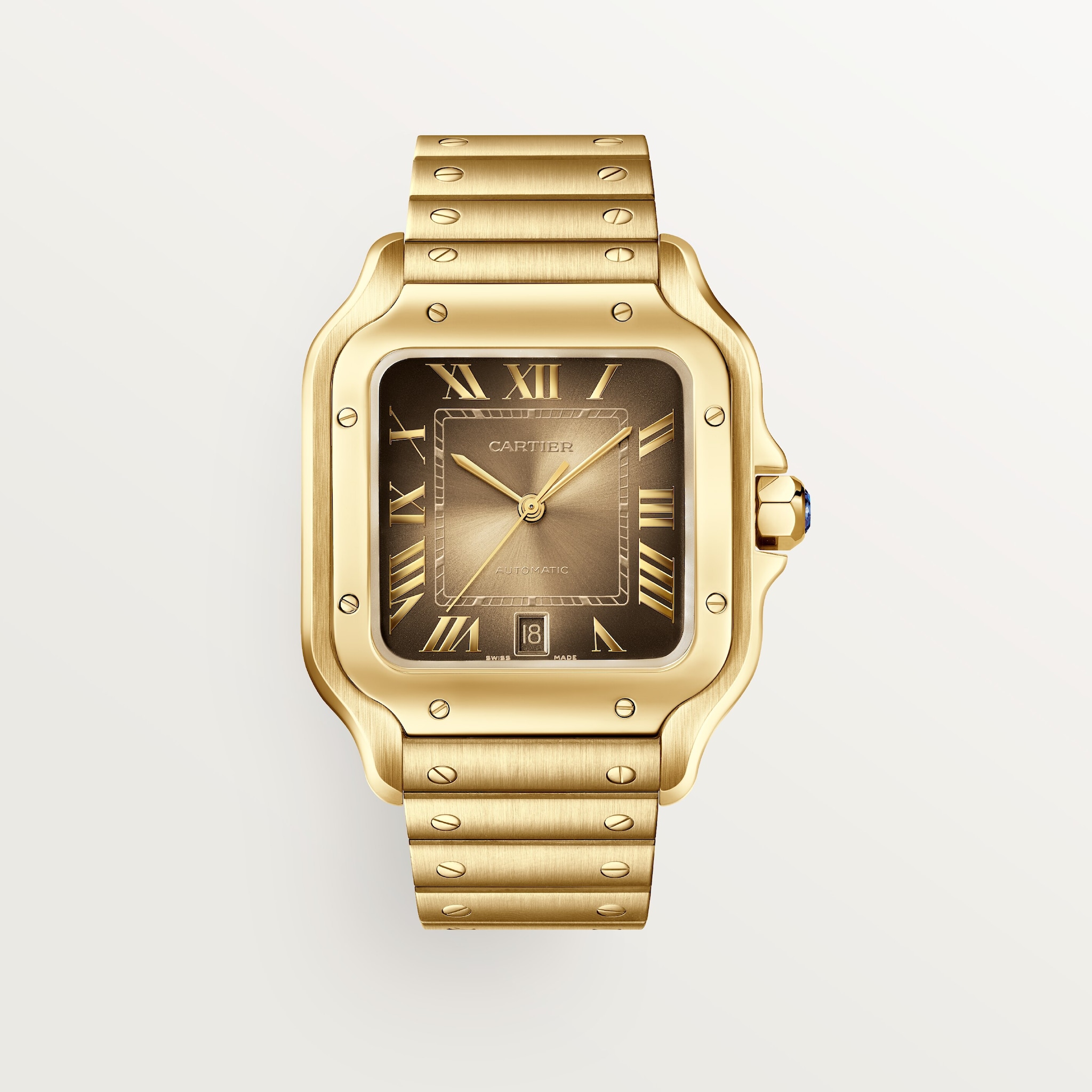 Santos de Cartier 腕錶大型款，自動上鏈機械機芯，黃金，可更換式金屬錶鏈及皮革錶帶
